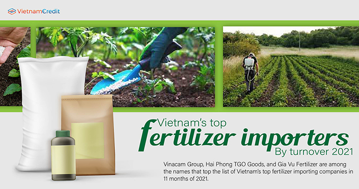 Vietnam’s top fertilizer importers by turnover 2021
